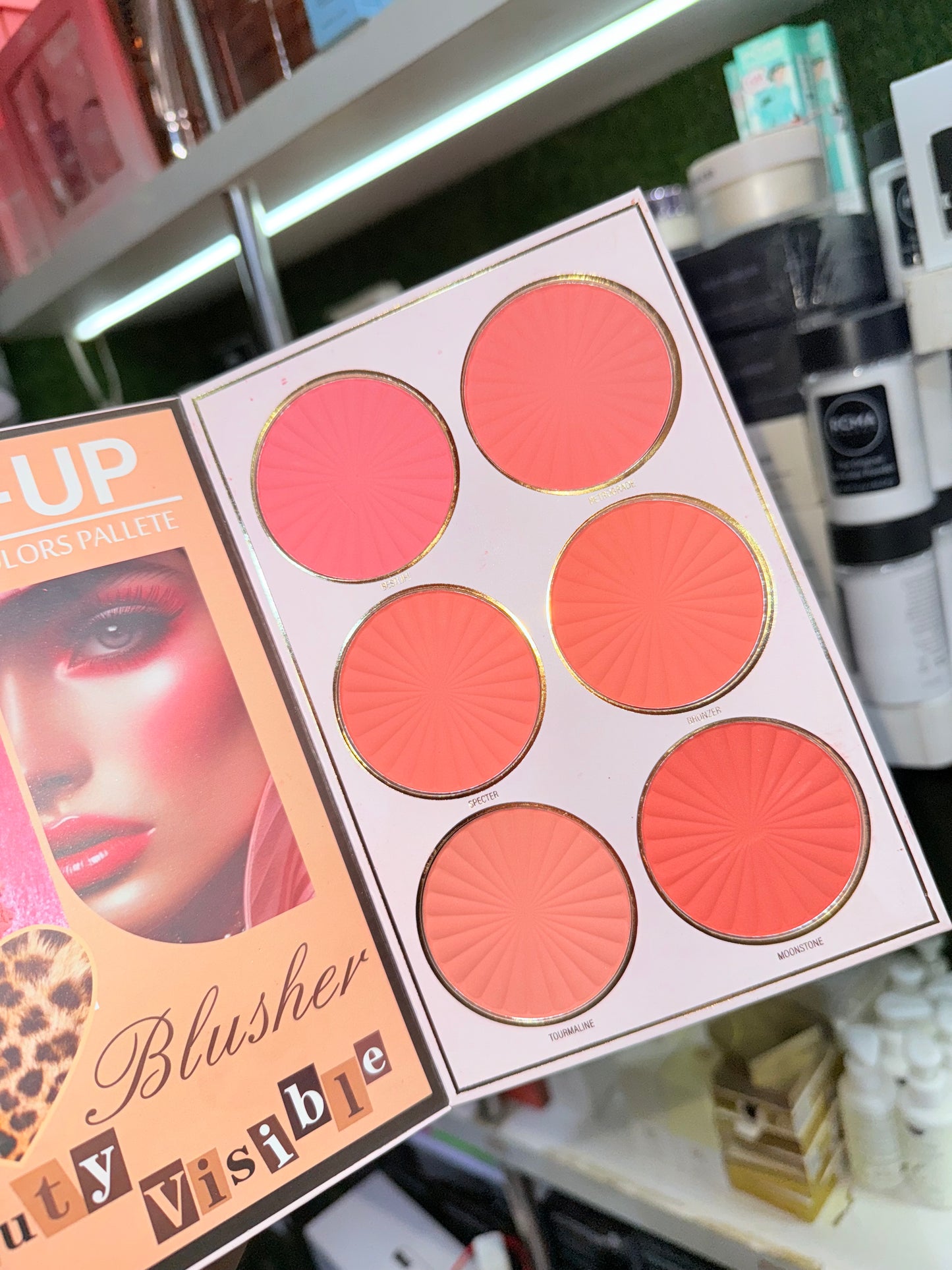 EXCLUSIVE 6 PAGE MAKEUP BOOK
