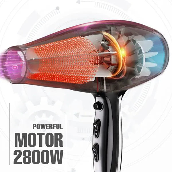 VEGA PROFESSIONAL Pro Xpert Dry 2800 WATTS Hair Dryer