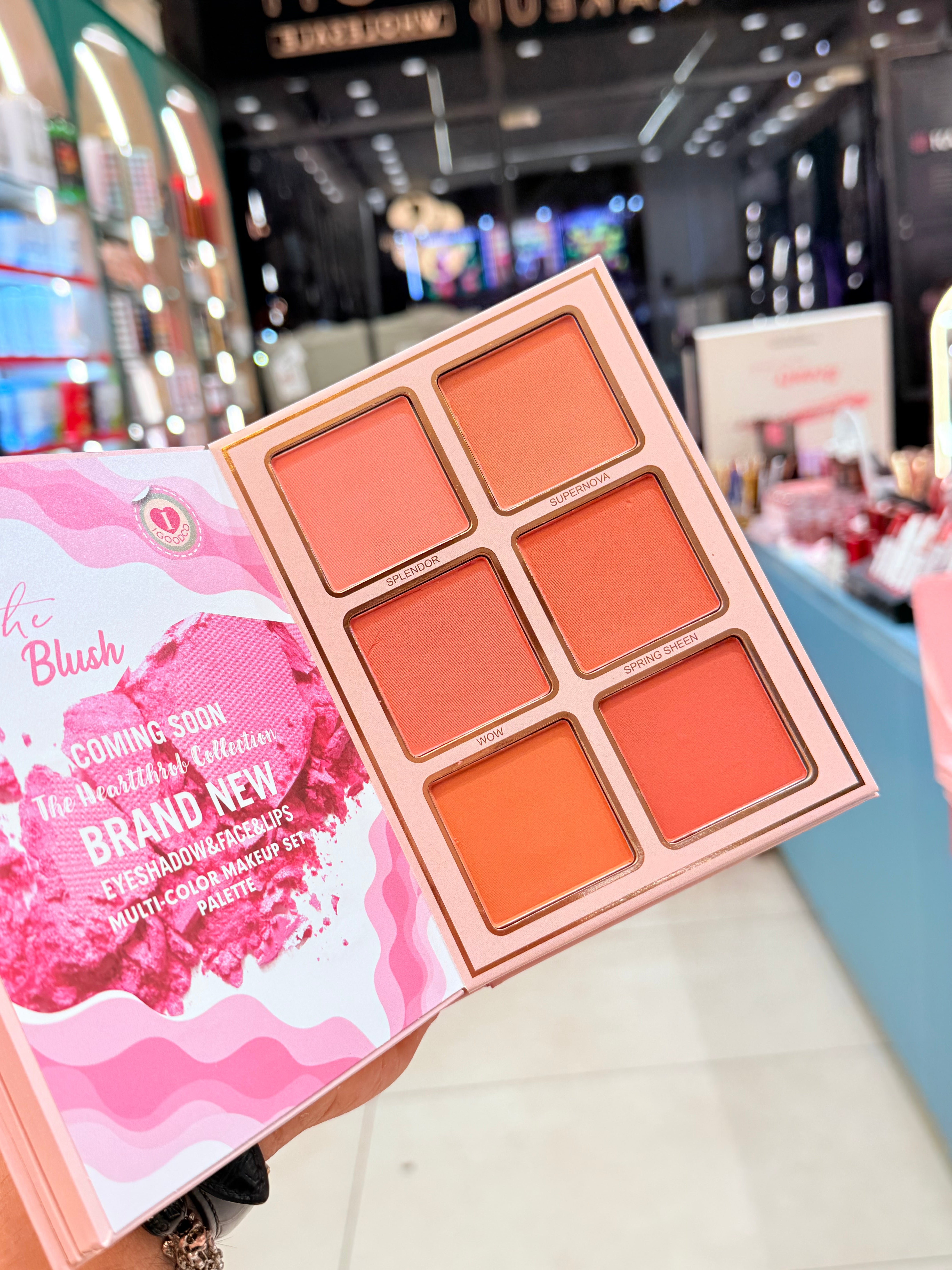 IGOODCO ALL IN ONE MAKEUP BOOK (5PAGES) BUY 1 @499/-