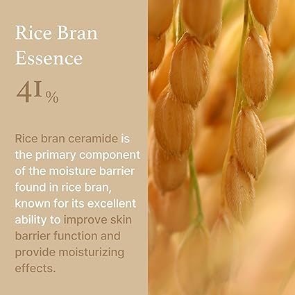 [I'm from] Rice Cream 50g | 41% Rice Bran Essence with Ceramide for a Glowing Look | Improves Moisture Skin Barrier, Nourishes Deeply | Korean Skincare | 100% Vegan | Toxin free