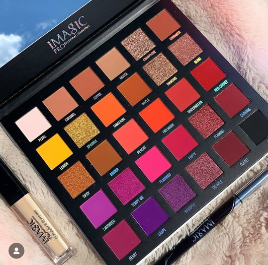 Imagic Professional 30 Color Eyeshadow Pallete