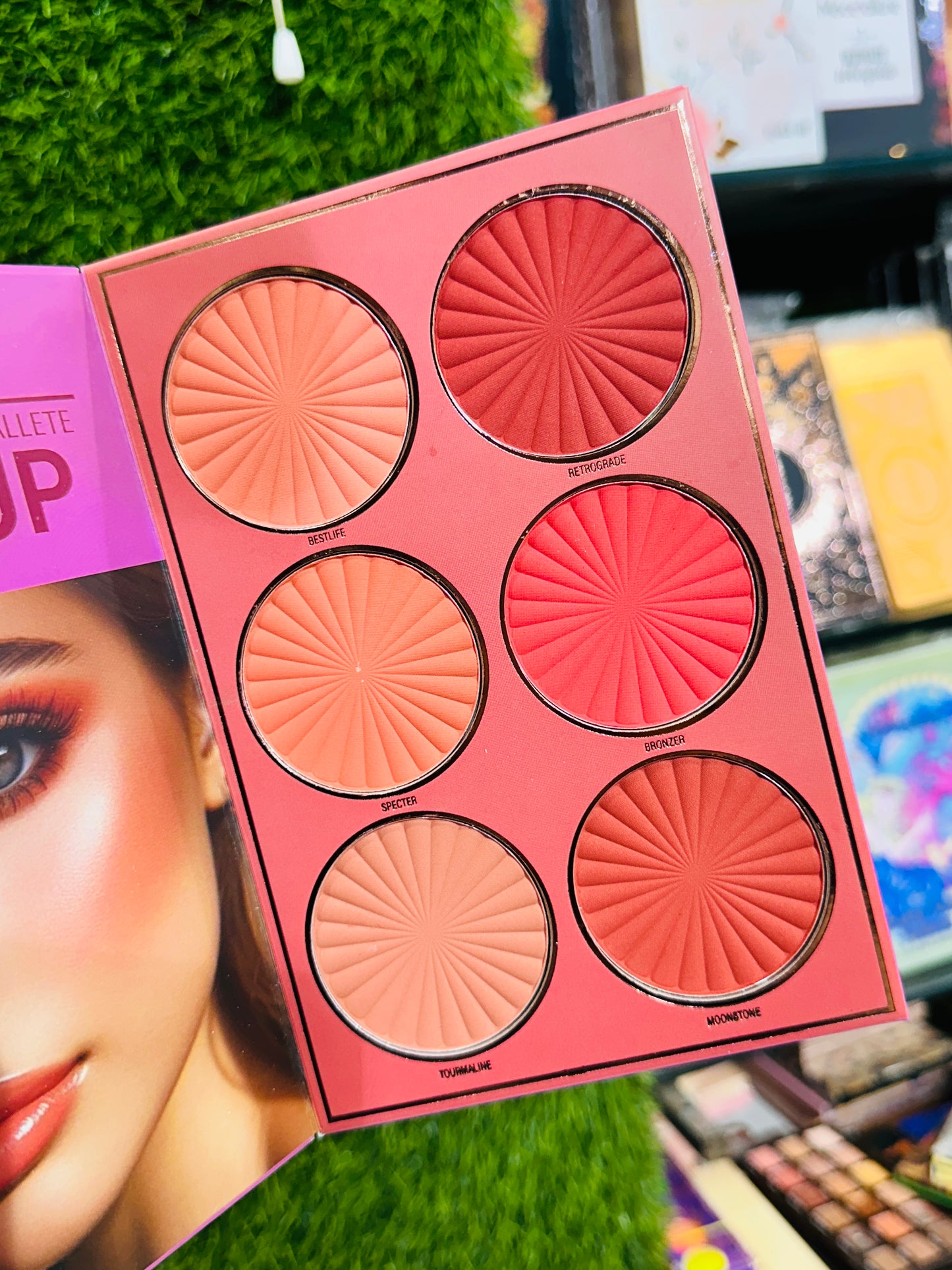 The Taj Makeup Book