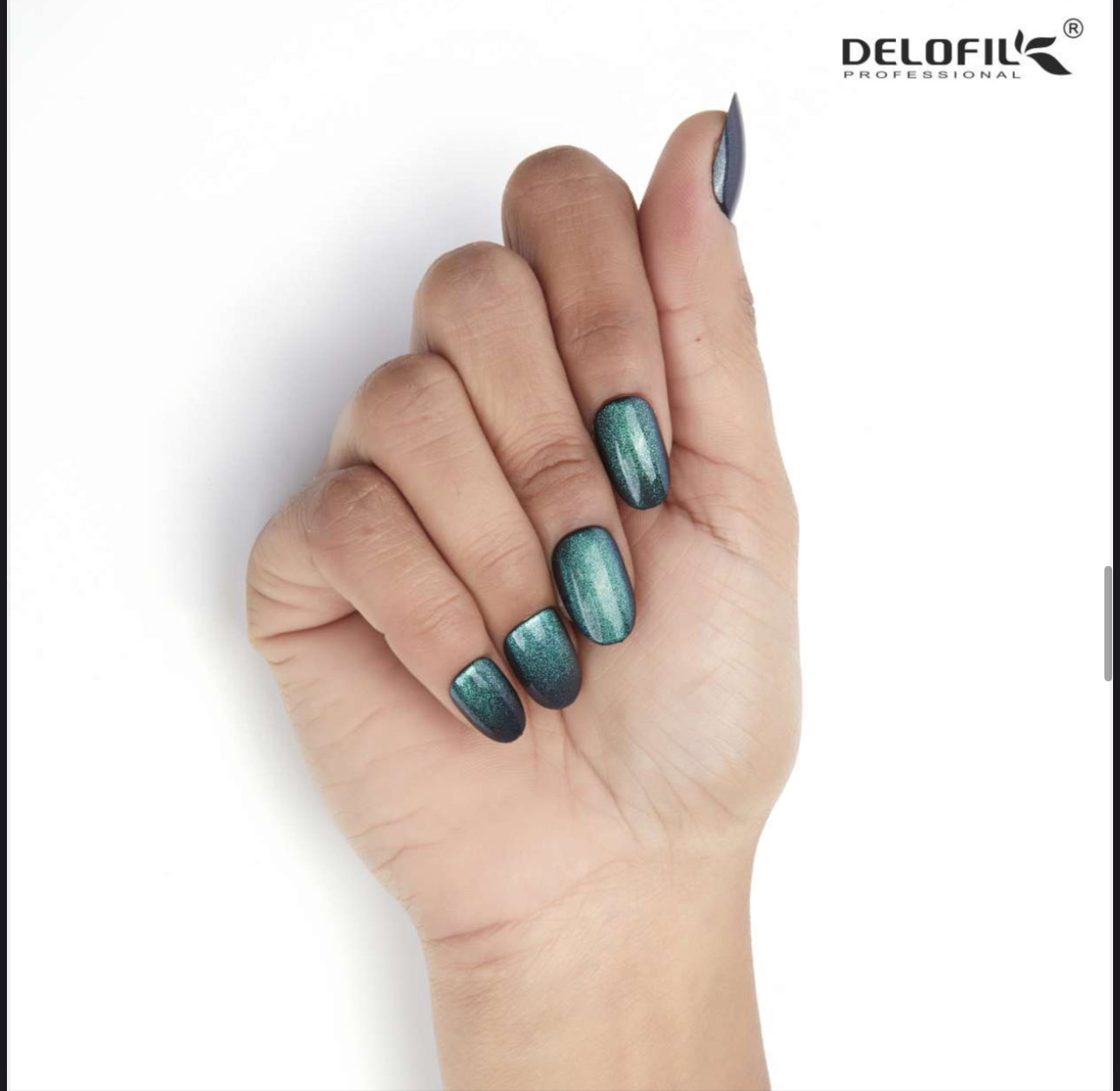 Delofil Premium CAT EYE Nails (Salon Like Nails) 24 Nails in box | Nail Buffer |Glue tabs Included - E09