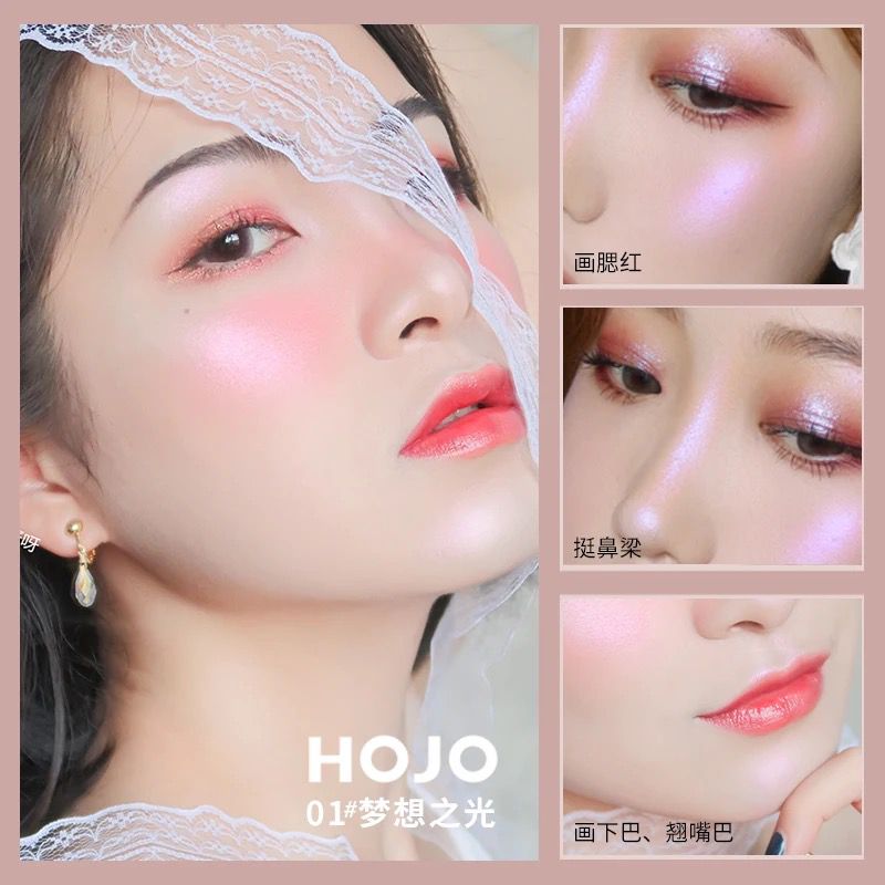 HOJO PROFESSIONAL HIGHLIGHTER