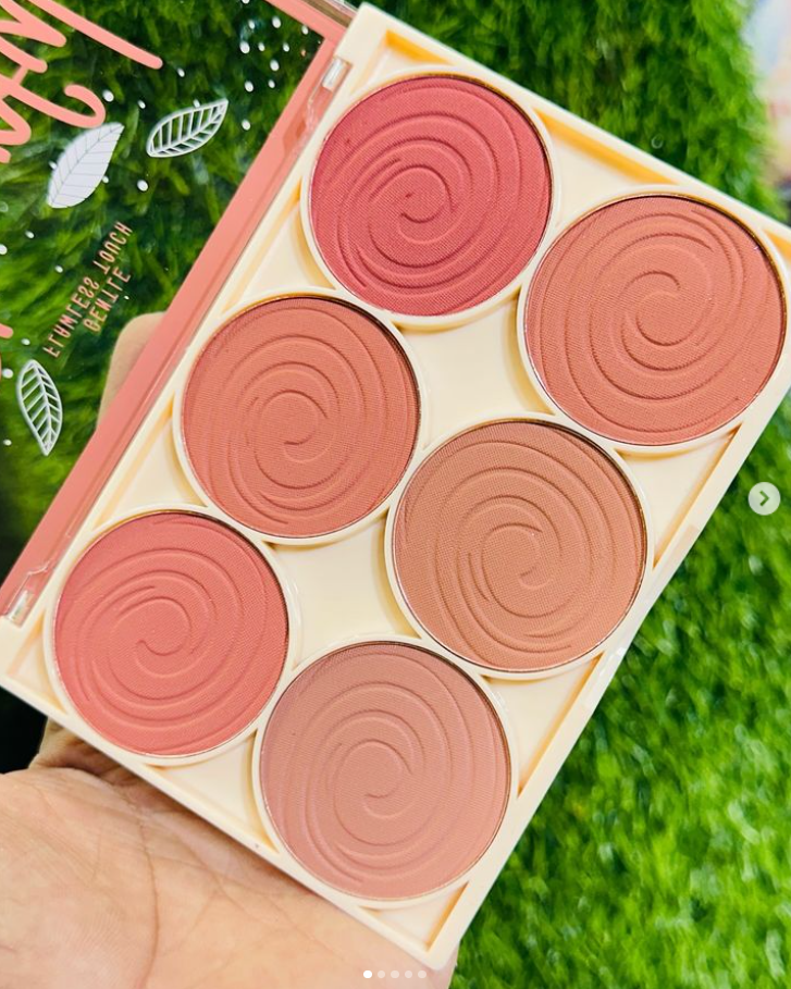 6 Color Blush + Contour Pallete