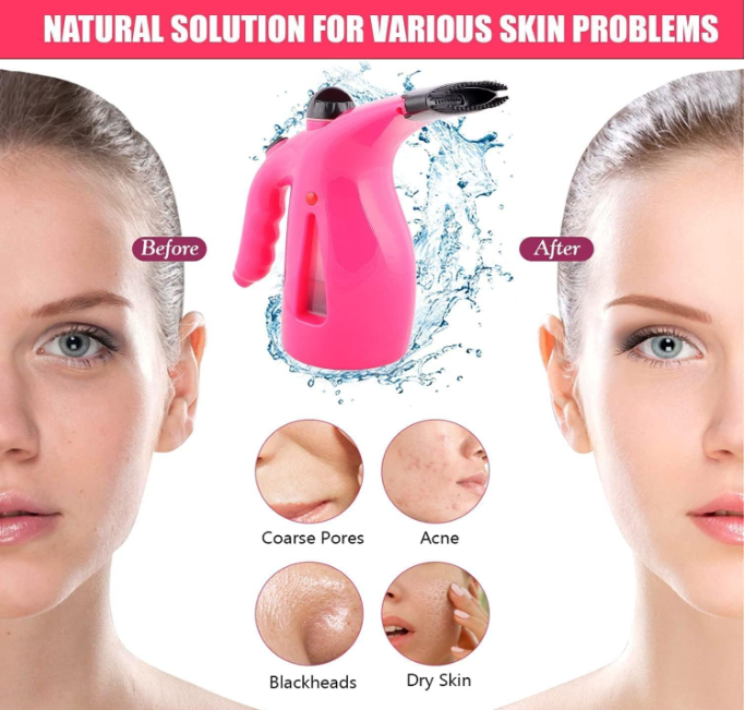 NEW Portable RZ-608 Handheld Facial Steamer and Garment Steam Iron, 350W(Facial)/ 750W(Steamer), Multicolour