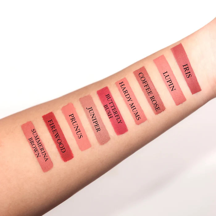 LoveEarth LIP CRAYON NON-TRANSFER LIPSTICK 1. O - PACK OF 5