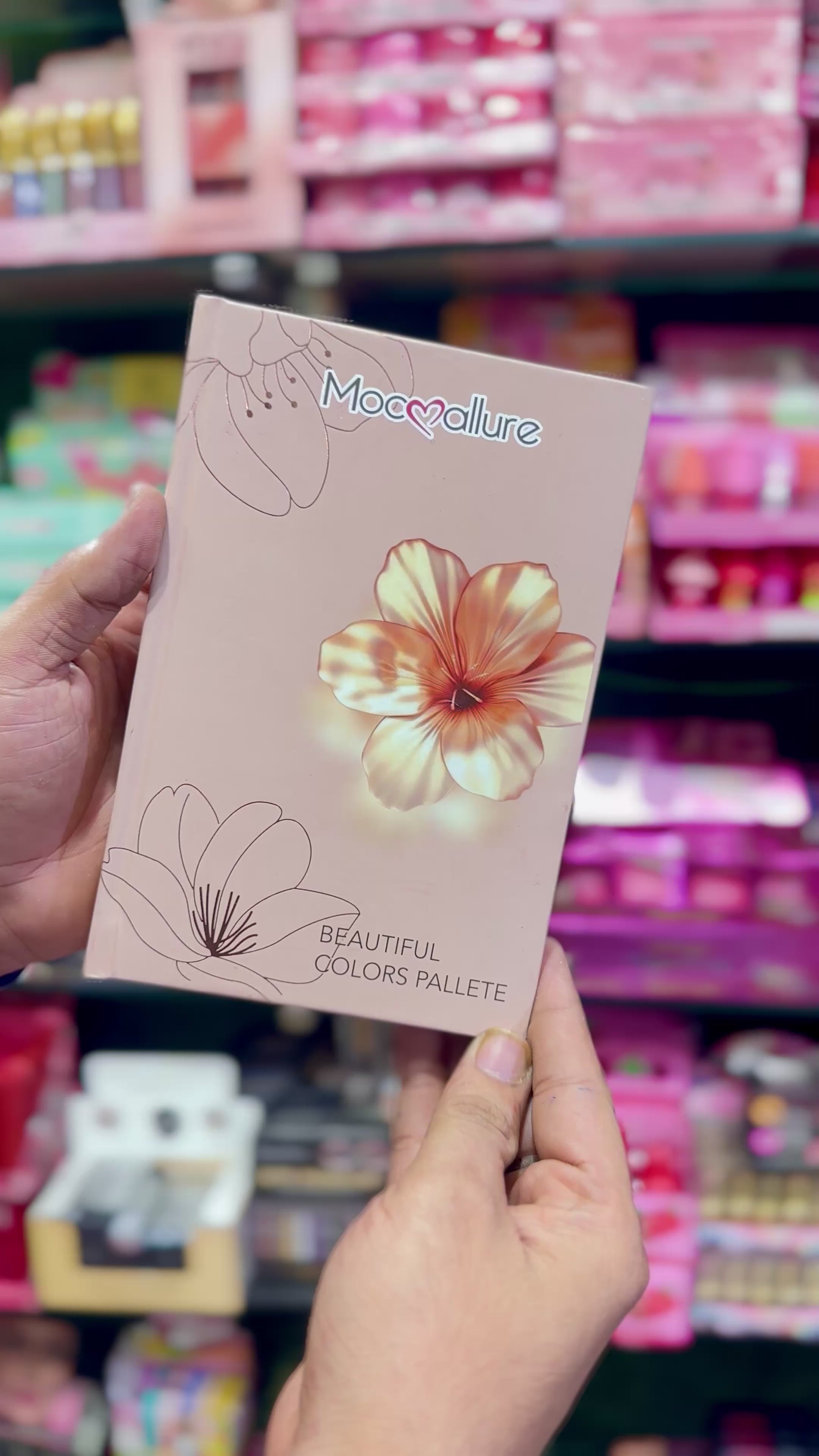Load video: Moccallure Pocket Friendly Makeup Book (3 Page)